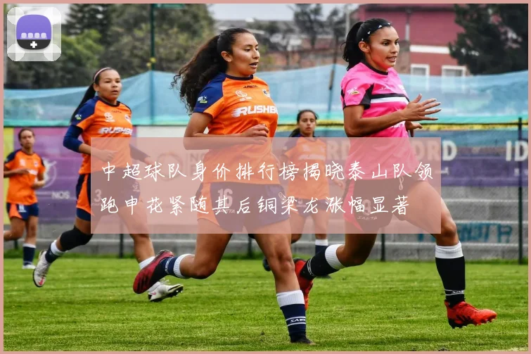 中超球队身价排行榜揭晓泰山队领跑申花紧随其后铜梁龙涨幅显著